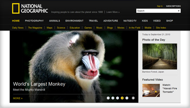 持续更新的网络手机号呼叫软件免费版